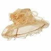 Something Special Feather And Lace Accent Organza Hat 2 Something Special Feather And Lace Accent Organza Hat -Adams Shop ac001fy champagne 1