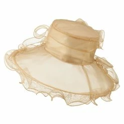 Something Special Feather And Lace Accent Organza Hat -Adams Shop ac001fy champagne 3