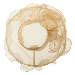 Something Special Feather And Lace Accent Organza Hat -Adams Shop ac001fy champagne 5