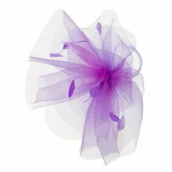 Something Special Womens Horsehair Derby Fascinator -Adams Shop bf001df purple 3