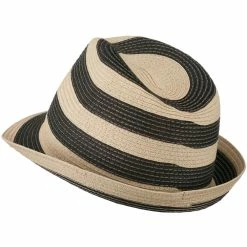 Something Special Paper Braid Striped Fedora Hat -Adams Shop bs002mf 2