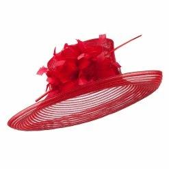Something Special Fashion Sinamay Hat With Crin