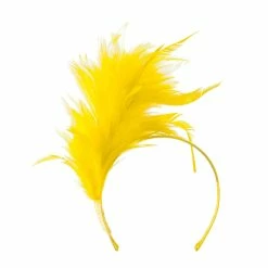 Something Special Fancy Feather Fascinator