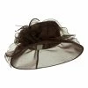 Something Special Glitter Big Bow Organza Hat -Adams Shop gl002fy brown 1