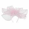 Something Special Horsehair Flower Headband Fascinator -Adams Shop hd002df pink 1 2