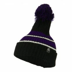City Hunter Two Tone Striped Knit Pom Beanie -Adams Shop pb003bf black purple 1 2